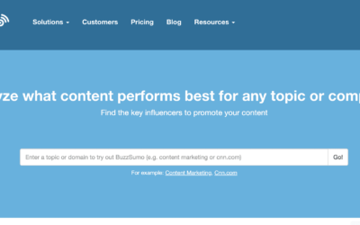 Buzzsumo, a case study in success